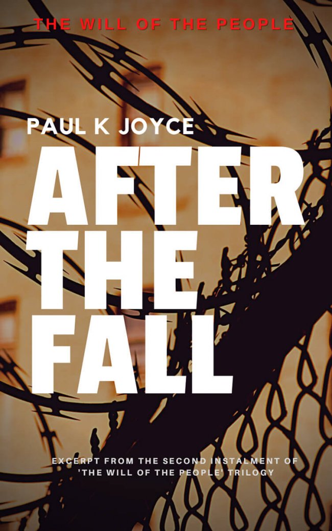 After-The-Fall—cover-artwork